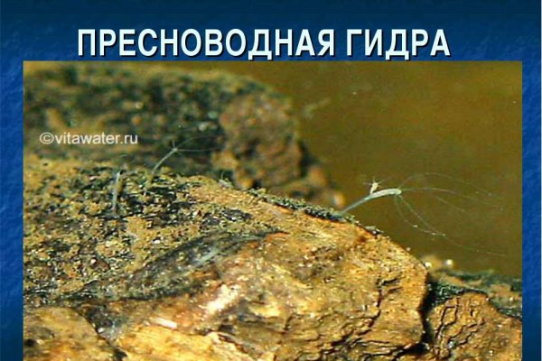 Как войти в кракен через тор